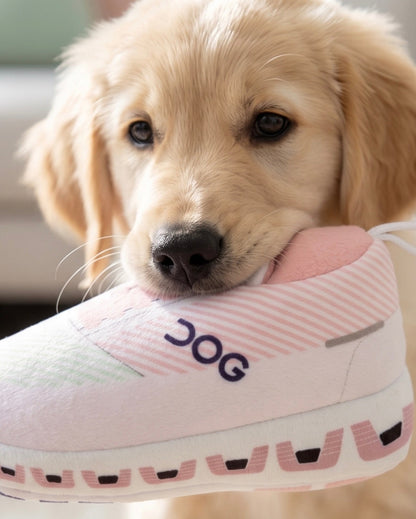 DOG Workout Shoe — foto oficial 2