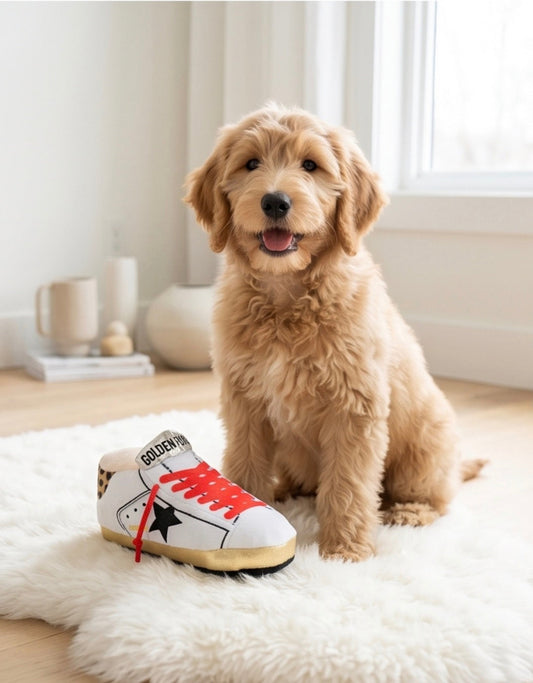 Golden Pooch Tennis Shoe — foto oficial 2