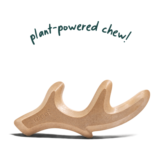 Woof HonestChew Antler — HC-ANT-MD