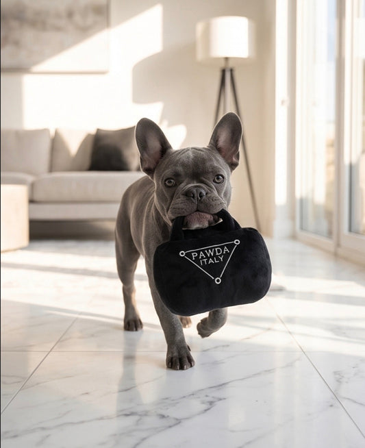 Pawda Bag Toy — foto oficial 2