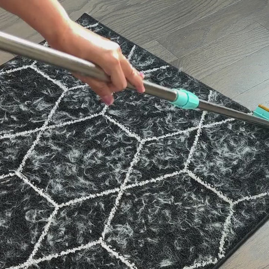 Uproot Cleaner Xtra — demostración oficial en alfombra