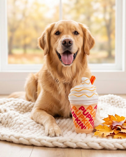 Pupkin' Donuts Iced Coffee — foto oficial 2