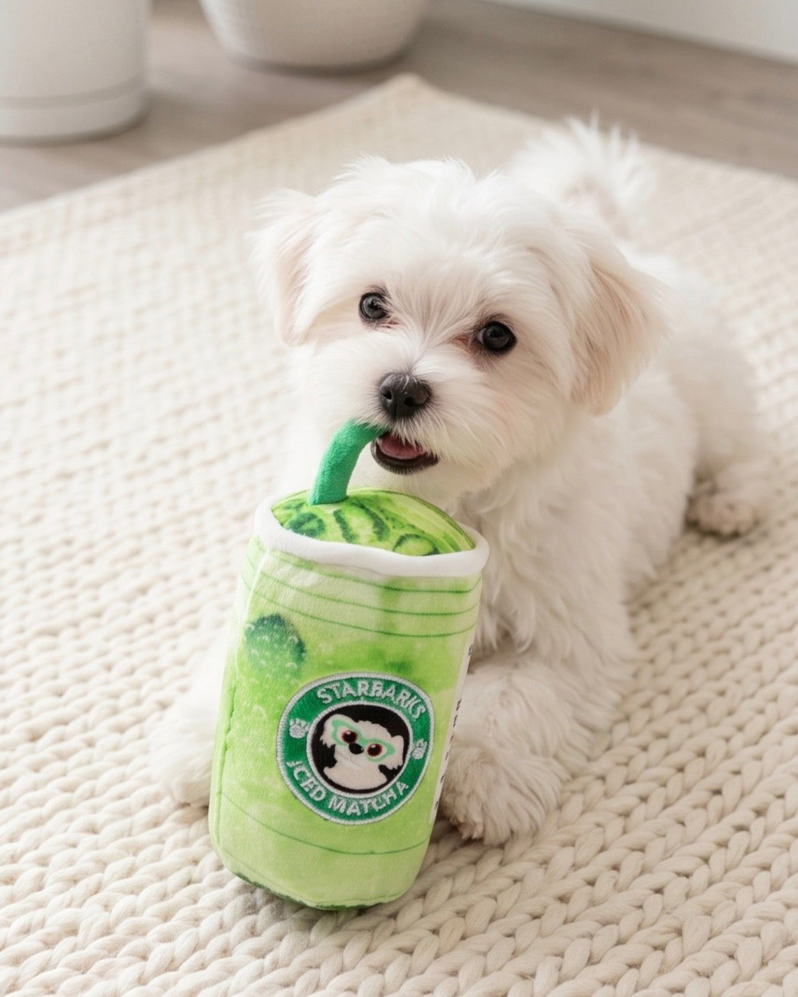 Starbarks Iced Matcha — foto oficial 2