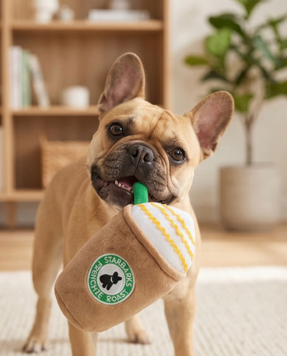Starbarks Frenchie Roast — foto oficial 2