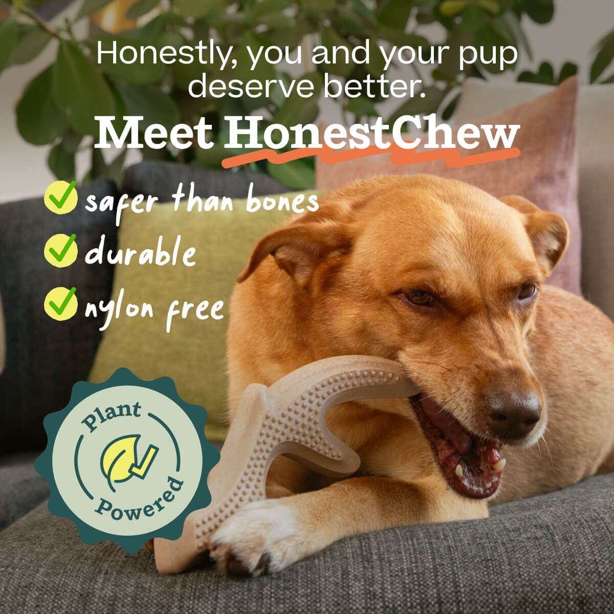 Woof HonestChew Antler — imagen oficial 2