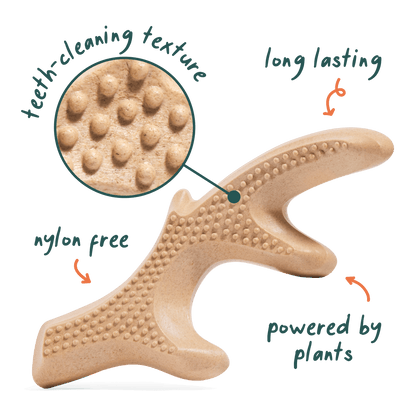 Woof HonestChew Antler — imagen oficial 3
