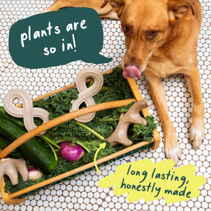 Woof HonestChew Infinity — imagen oficial 3